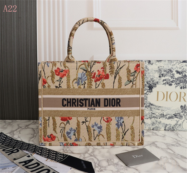 Dior Bags AAA 036
